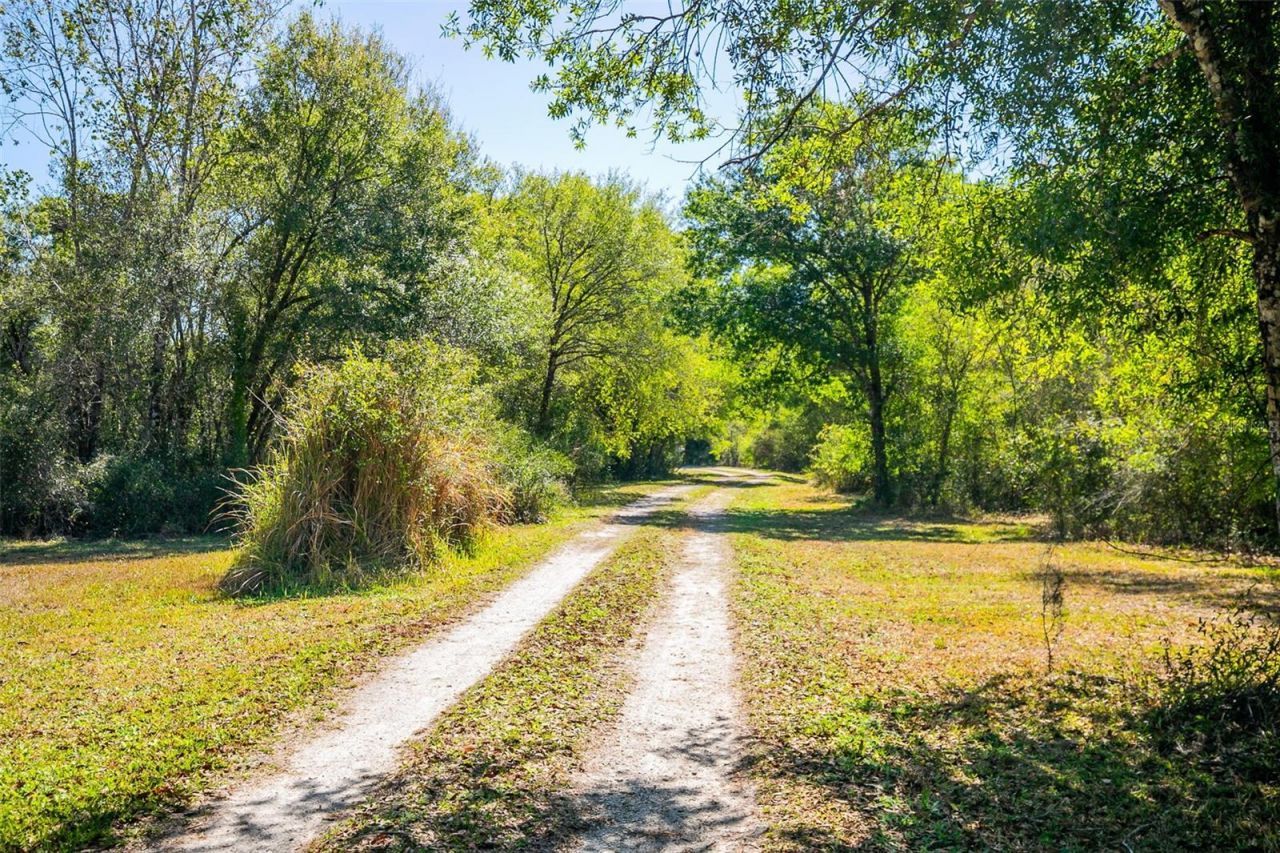 36442 Singletary Road, Myakka City, FL 34251 Photo