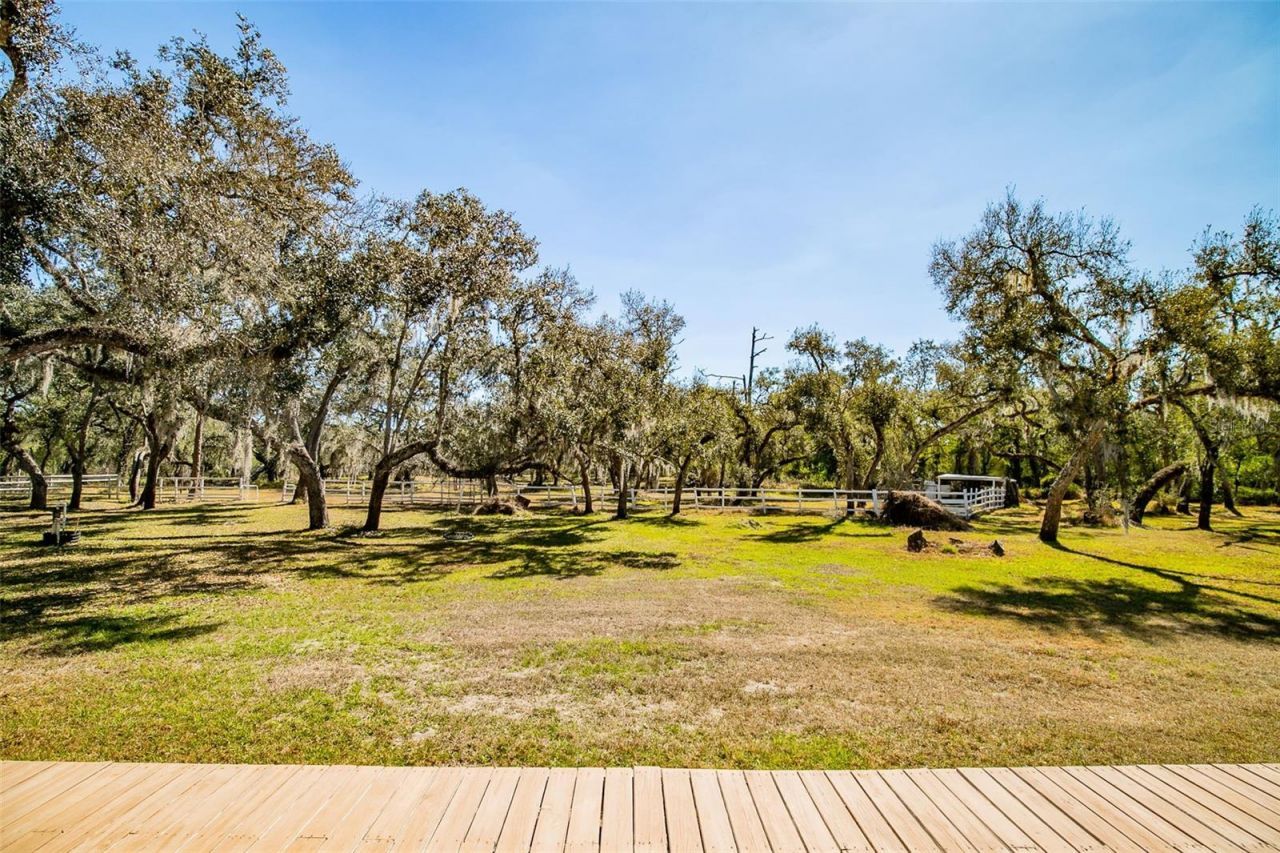 36442 Singletary Road, Myakka City, FL 34251 Photo