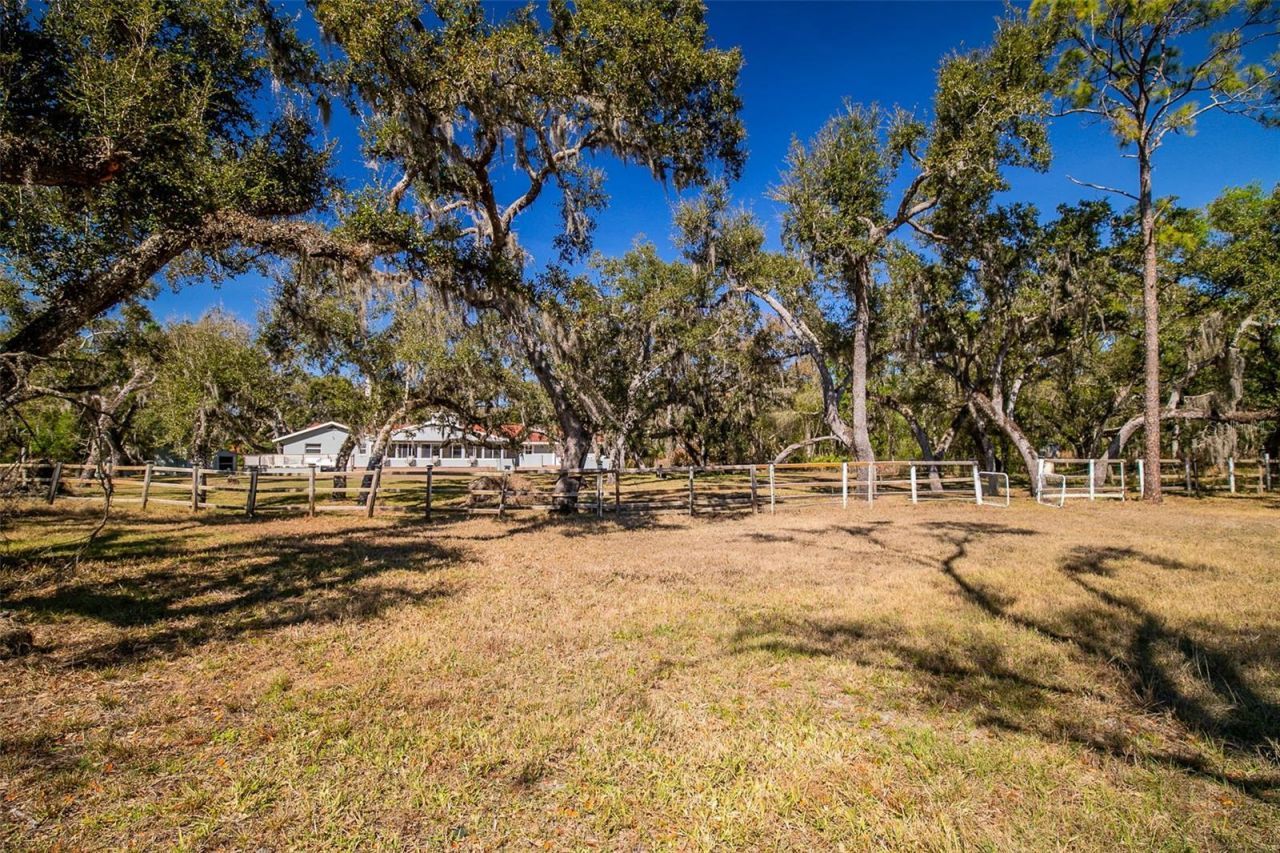 36442 Singletary Road, Myakka City, FL 34251 Photo