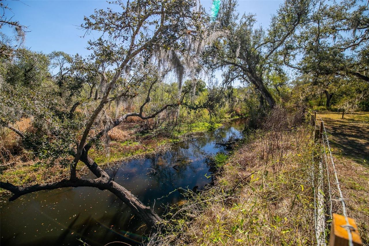 36442 Singletary Road, Myakka City, FL 34251 Photo