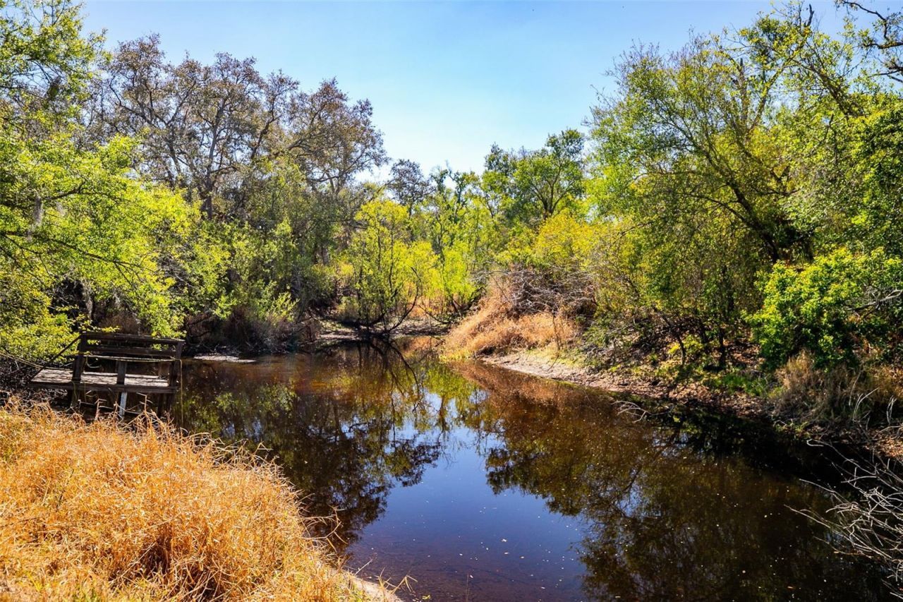 36442 Singletary Road, Myakka City, FL 34251 Photo