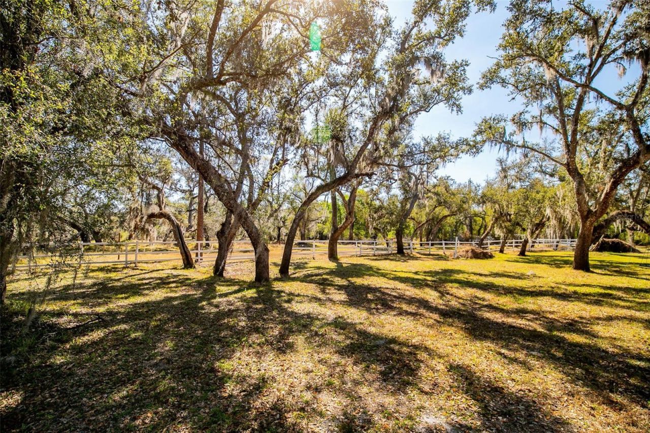 36442 Singletary Road, Myakka City, FL 34251 Photo