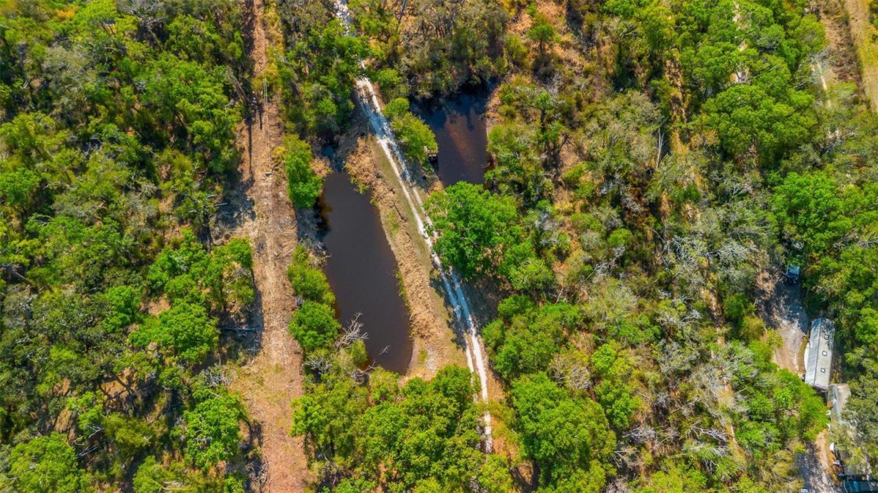 36442 Singletary Road, Myakka City, FL 34251 Photo