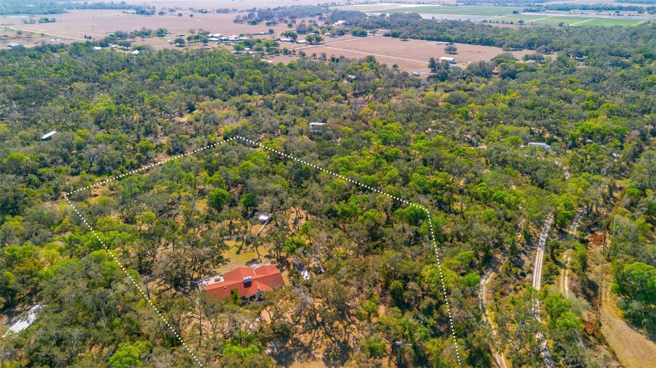 36442 Singletary Road, Myakka City, FL 34251 Photo