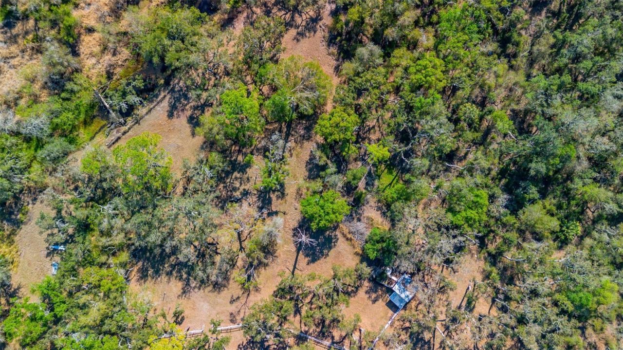 36442 Singletary Road, Myakka City, FL 34251 Photo