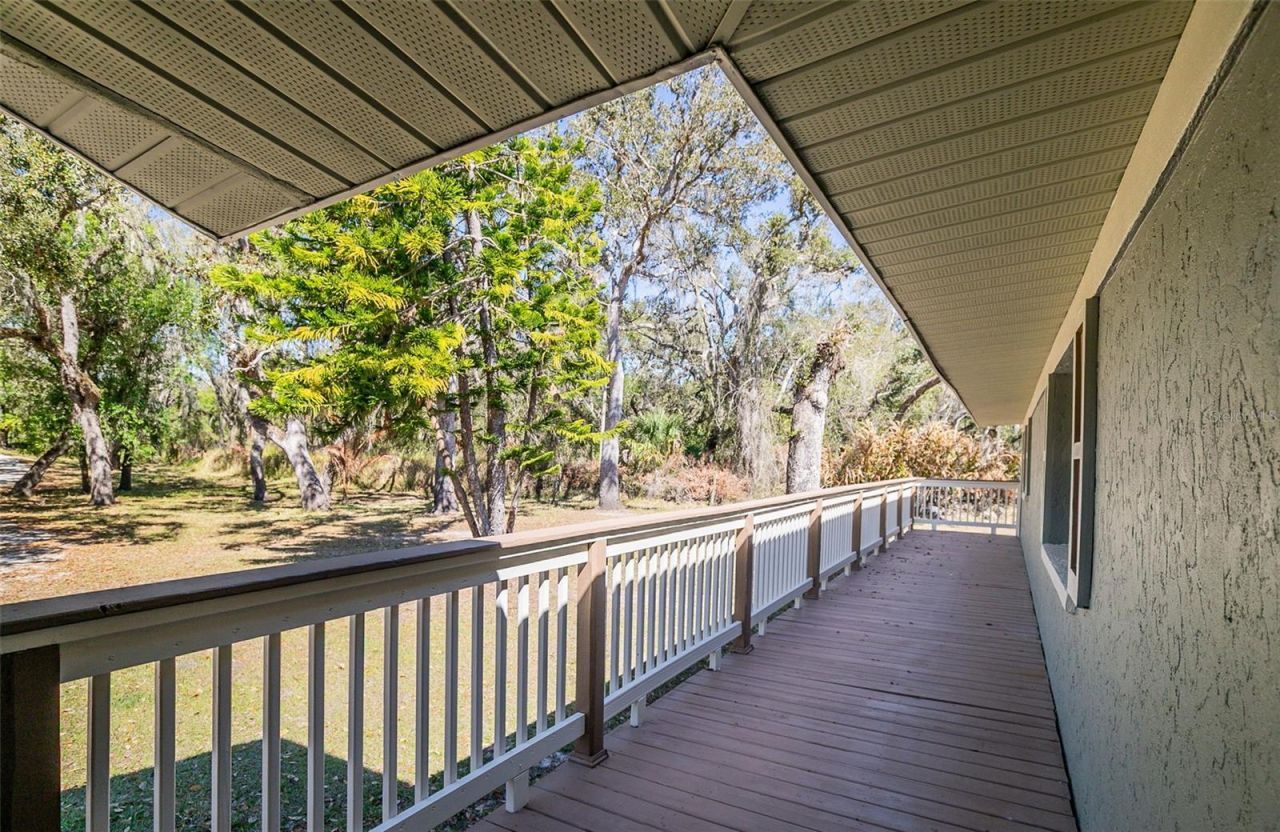 36442 Singletary Road, Myakka City, FL 34251 Photo