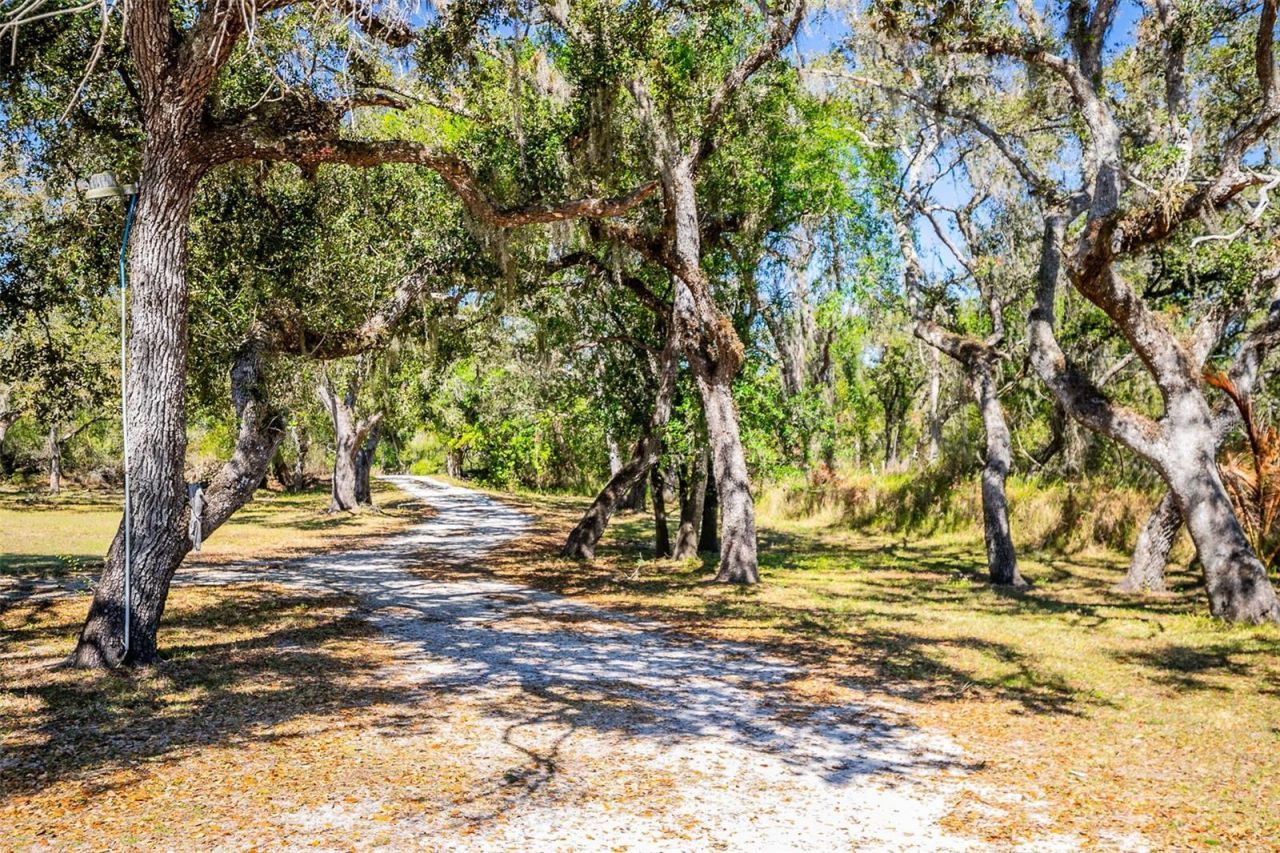 36442 Singletary Road, Myakka City, FL 34251 Photo