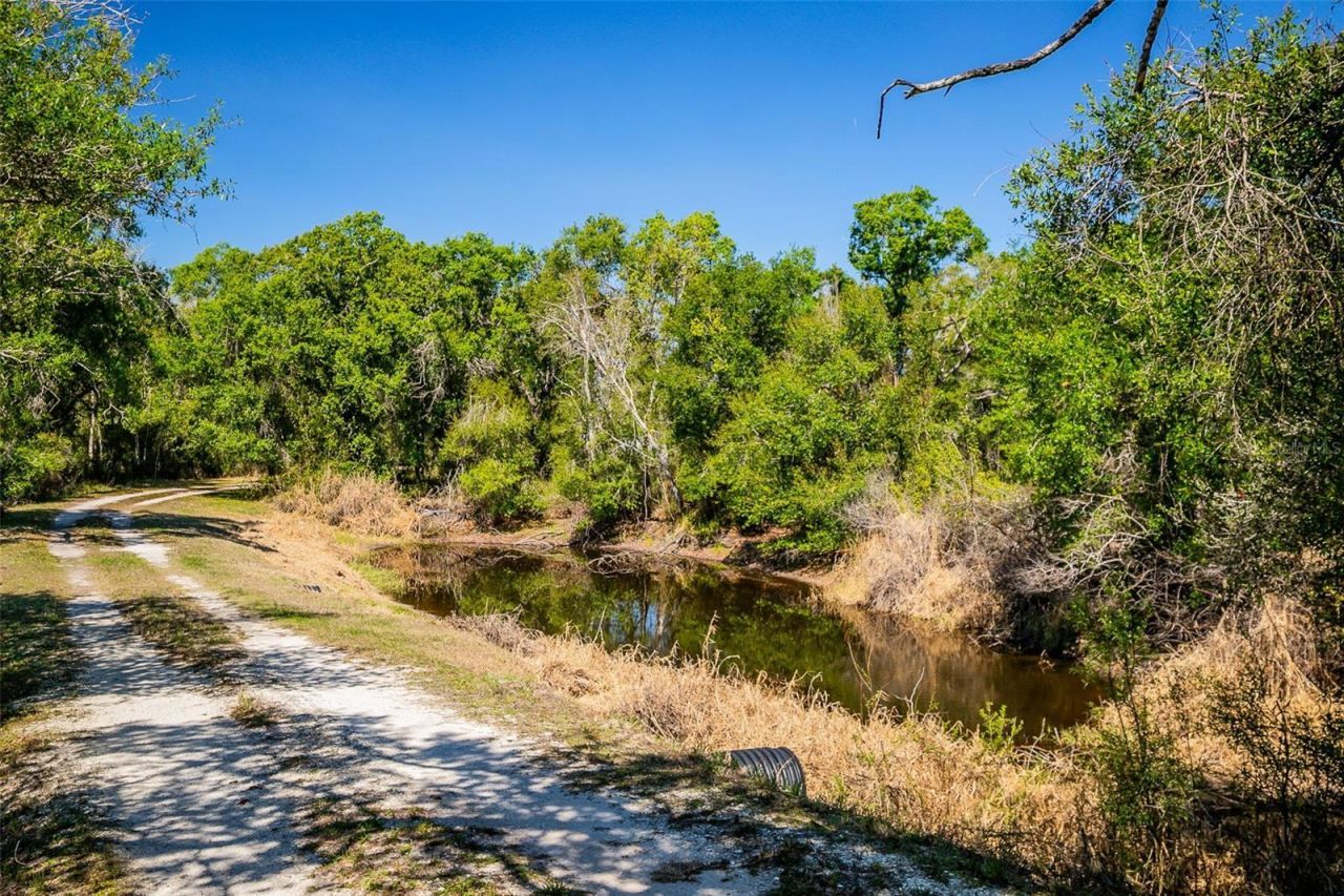 36442 Singletary Road, Myakka City, FL 34251 Photo