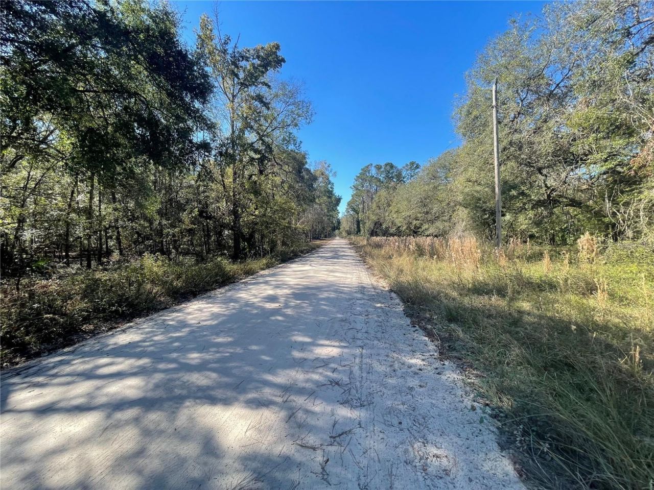 10570 246th Trace, O Brien, FL 32071 Photo