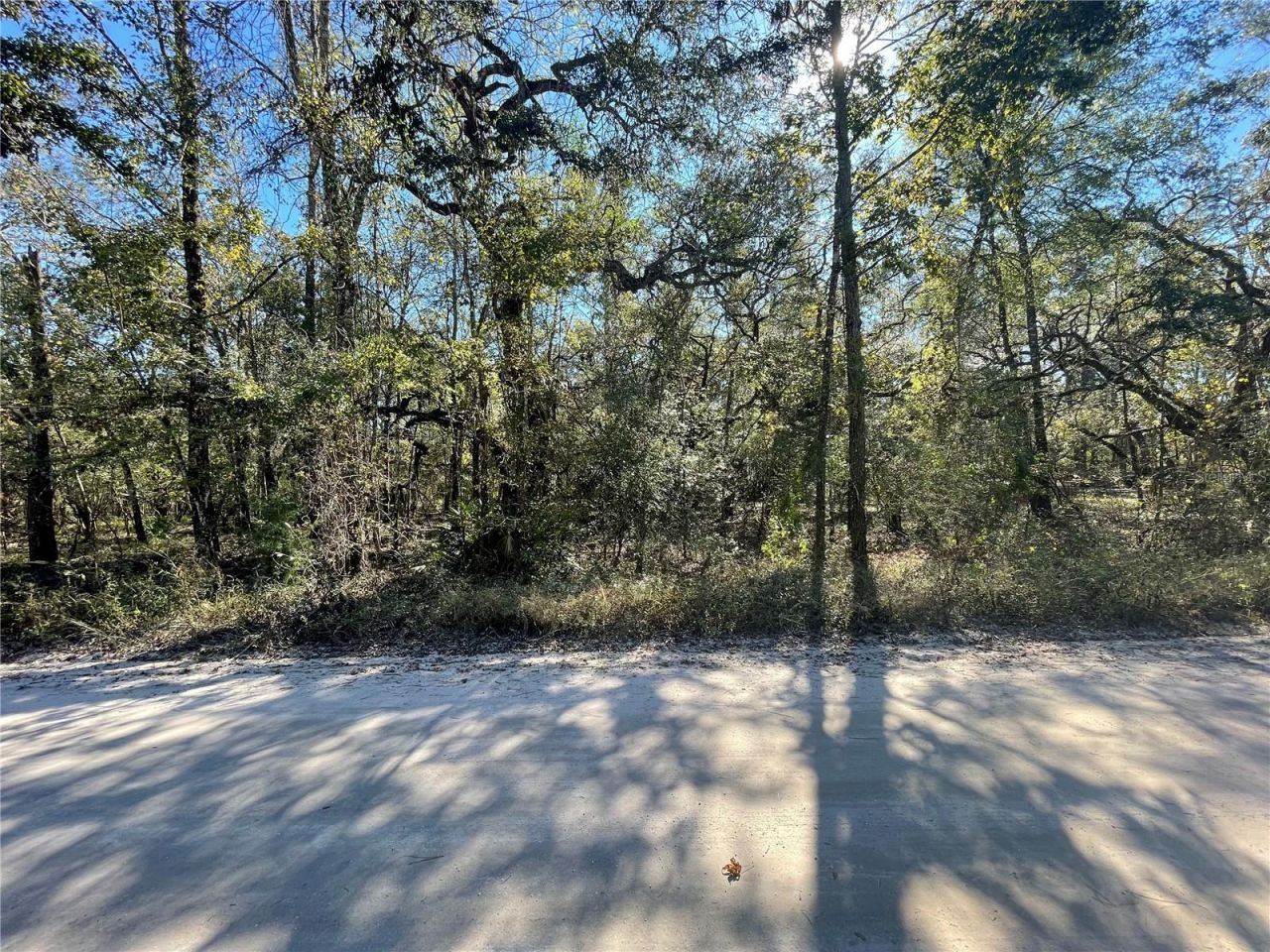 10570 246th Trace, O Brien, FL 32071 Photo