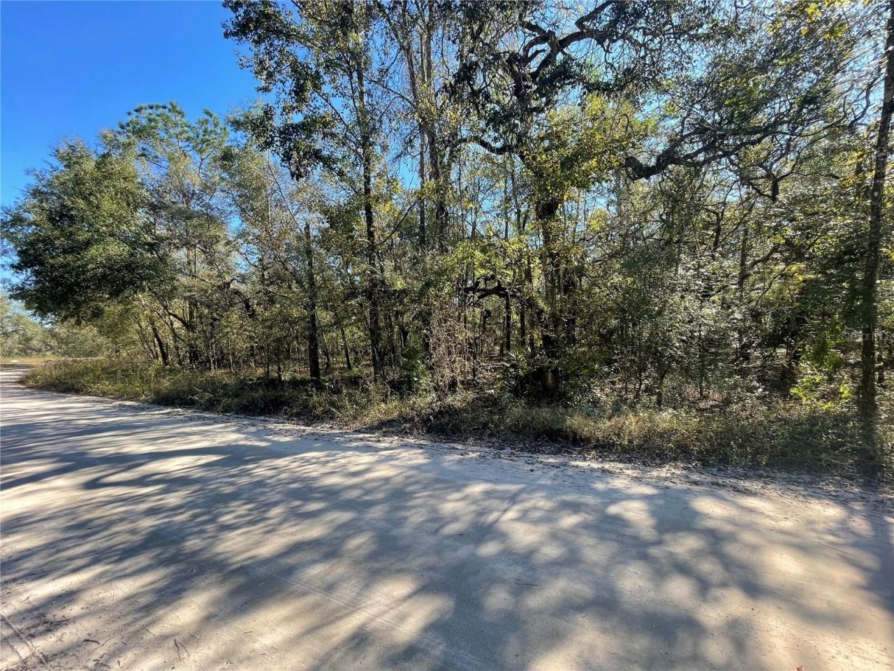 10570 246th Trace, O Brien, FL 32071 Photo