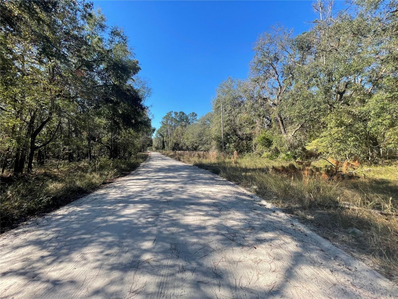 10570 246th Trace, O Brien, FL 32071 Photo