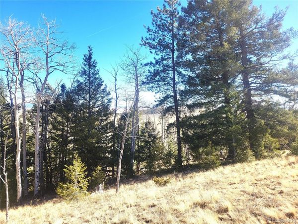 8802 Ranch Road , Hartsel, CO 80449