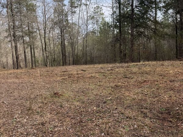 0 Highway 87, Juliette, GA 31046