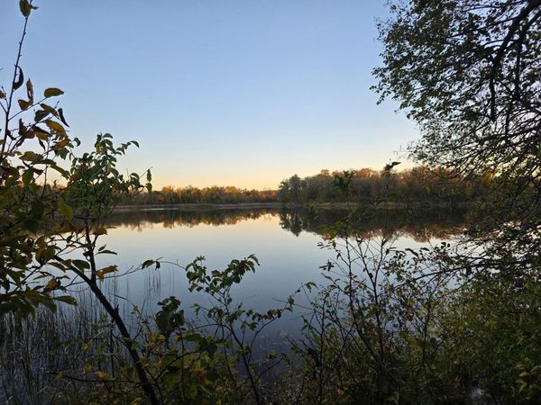 TBD Lot 5 317th St, Underwood, MN 56586