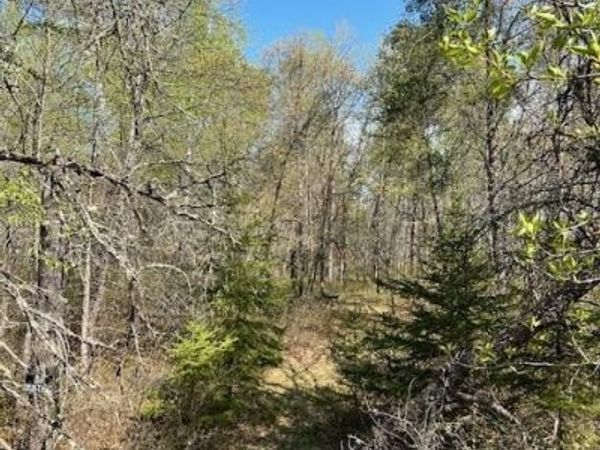 TBD Mikes Road SW, Bemidji, MN 56601