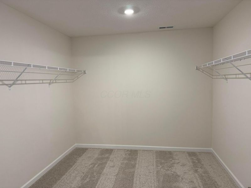 1074 Solitary Street, Unit Lot 2586, Galena, OH 43021 Photo 48