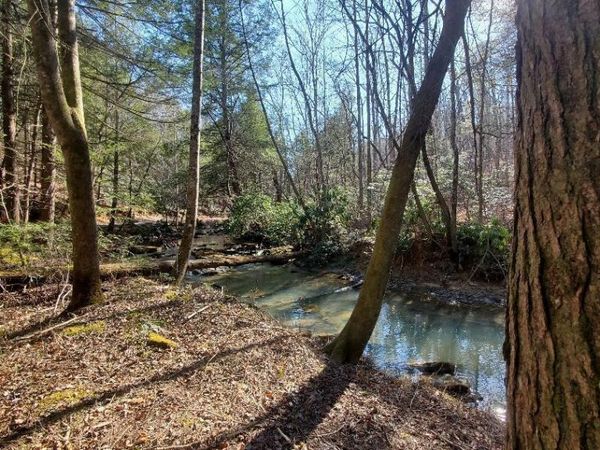 Sheep Ranch Rd, Robbins, TN 37852