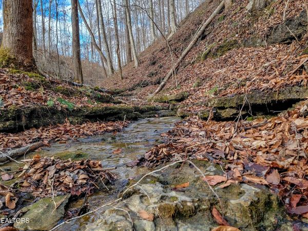 6.24 Acres Hutchins Bend Rd, Sparta, TN 38583