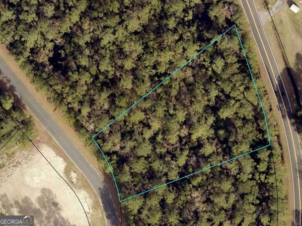 V/L 10 Marina Isle Drive, Woodbine, GA 31569