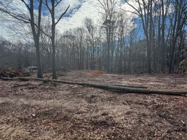 260 Roosevelt Circle, Bowman, GA 30624