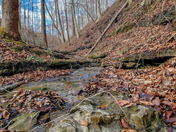 0 Hutchins Bend Rd , Sparta, TN 38583