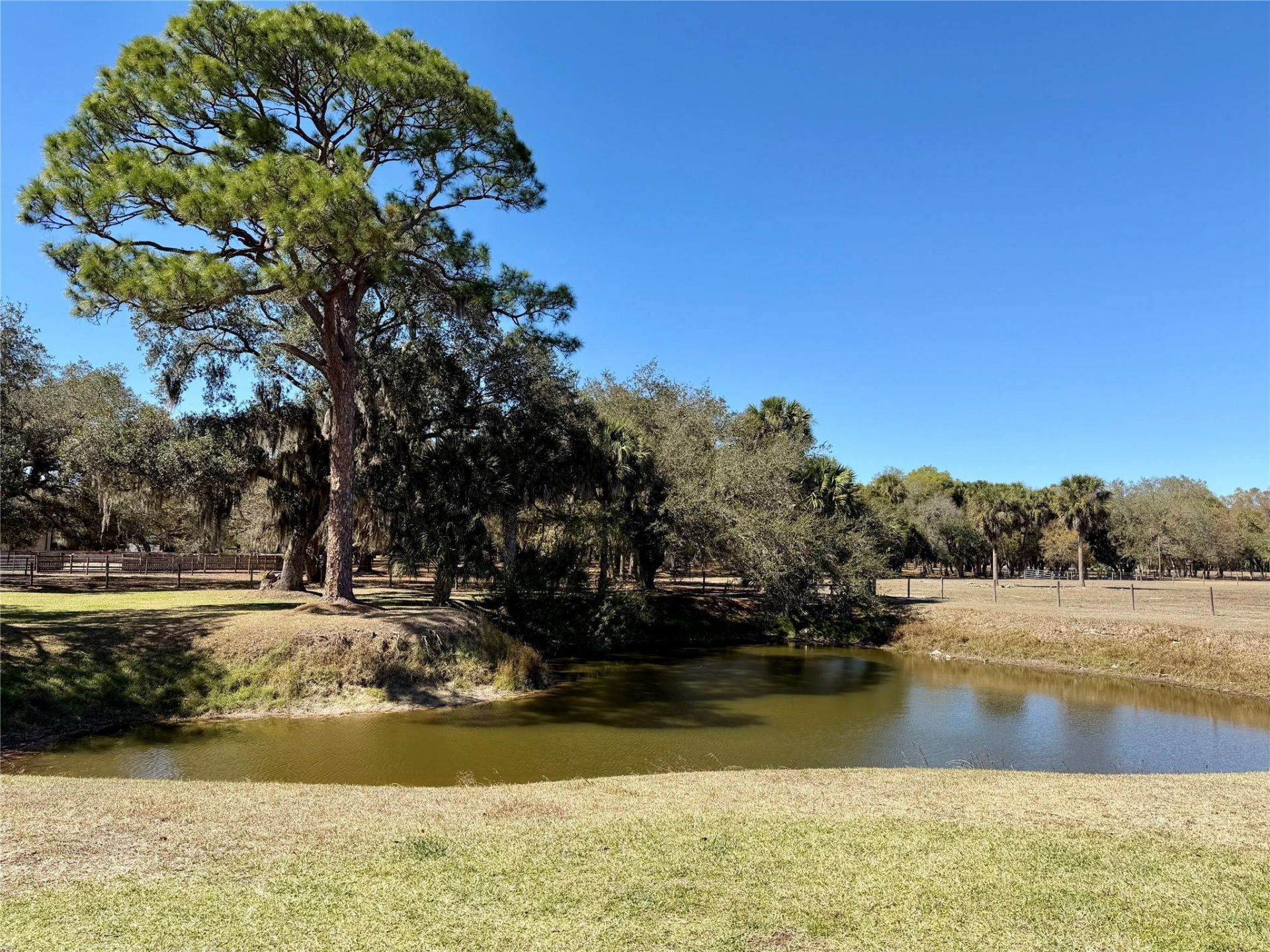 1819 SW 28th Ave, Okeechobee, FL 34974 Photo