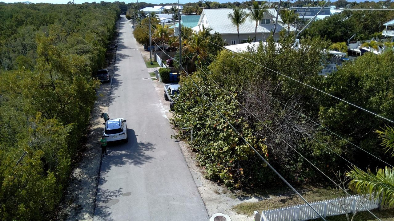 Caloosa St, Tavernier, FL 33036 Photo