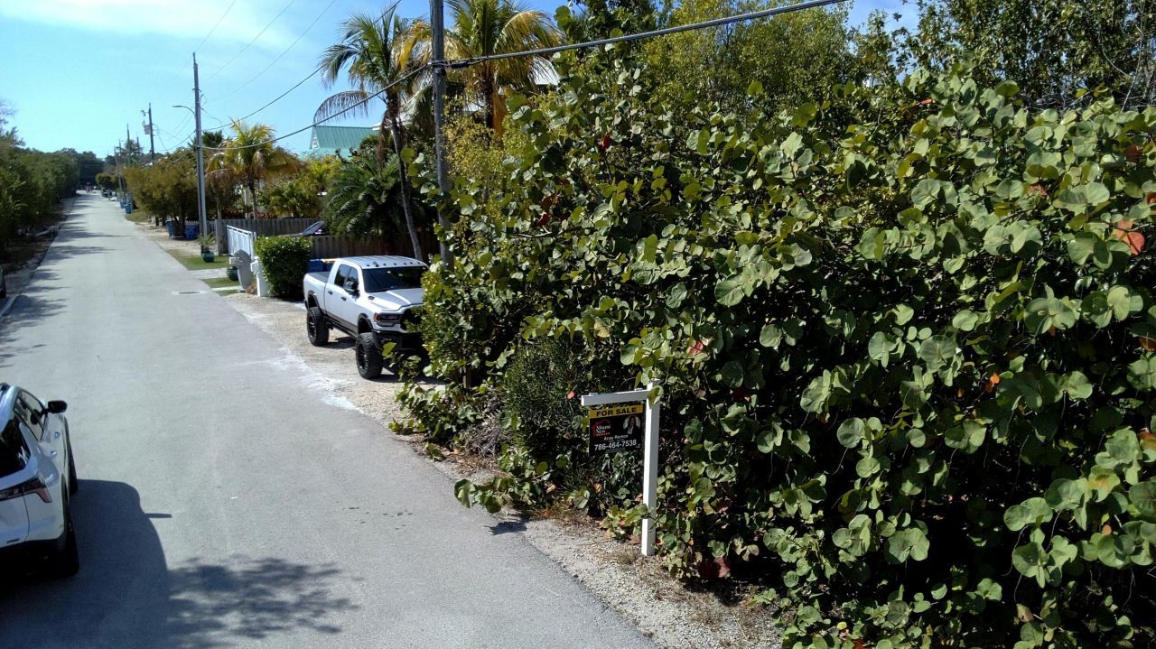 Caloosa St, Tavernier, FL 33036 Photo