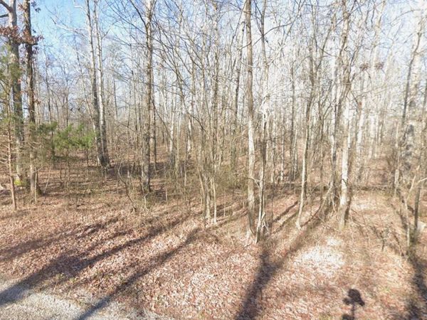 0 Webb Way, Savannah, TN 38372