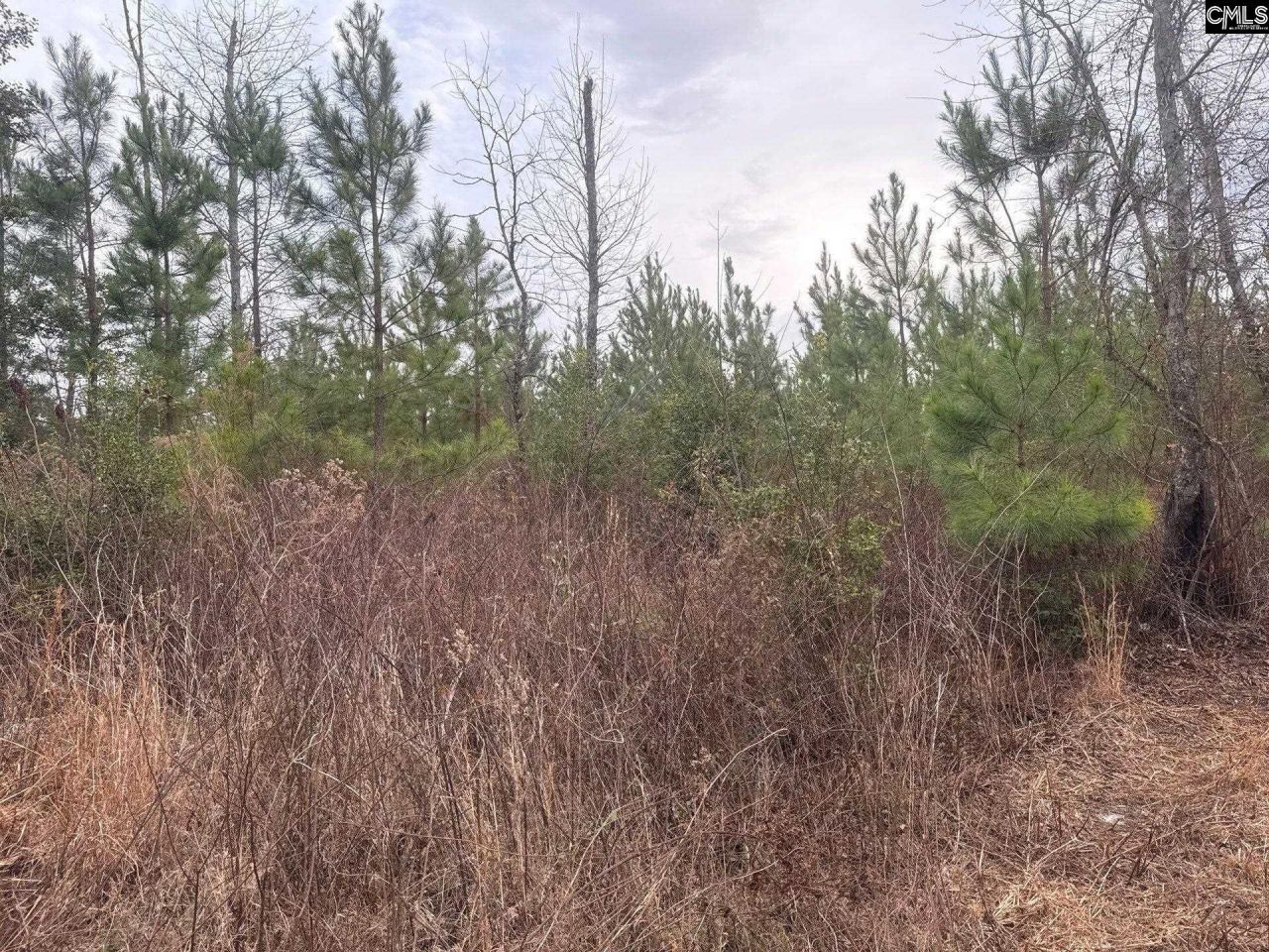 Qbf 9 Quattlebaum Road Photo 4