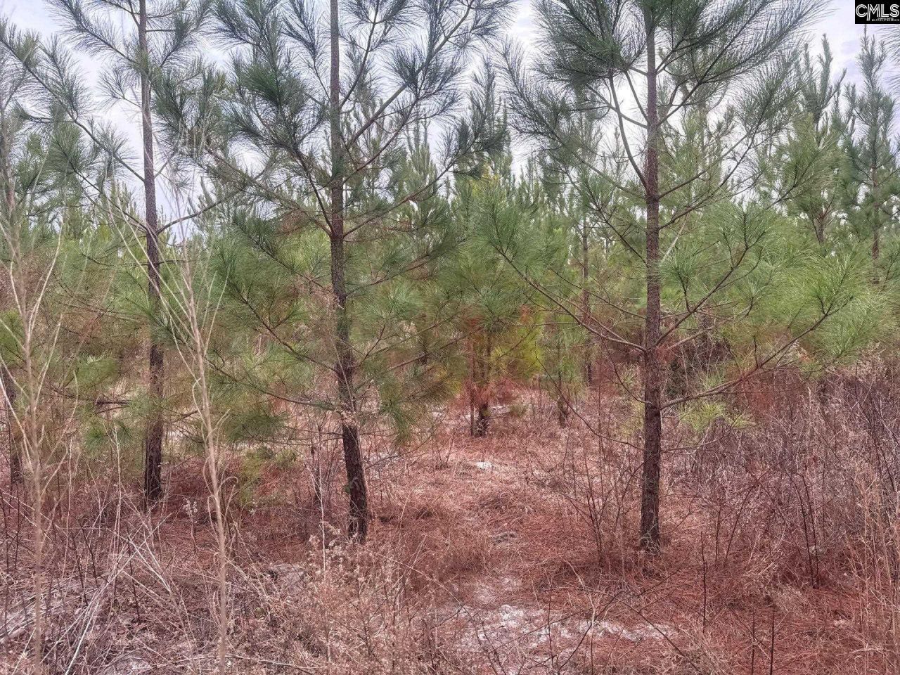 Qbf 9 Quattlebaum Road Photo 6