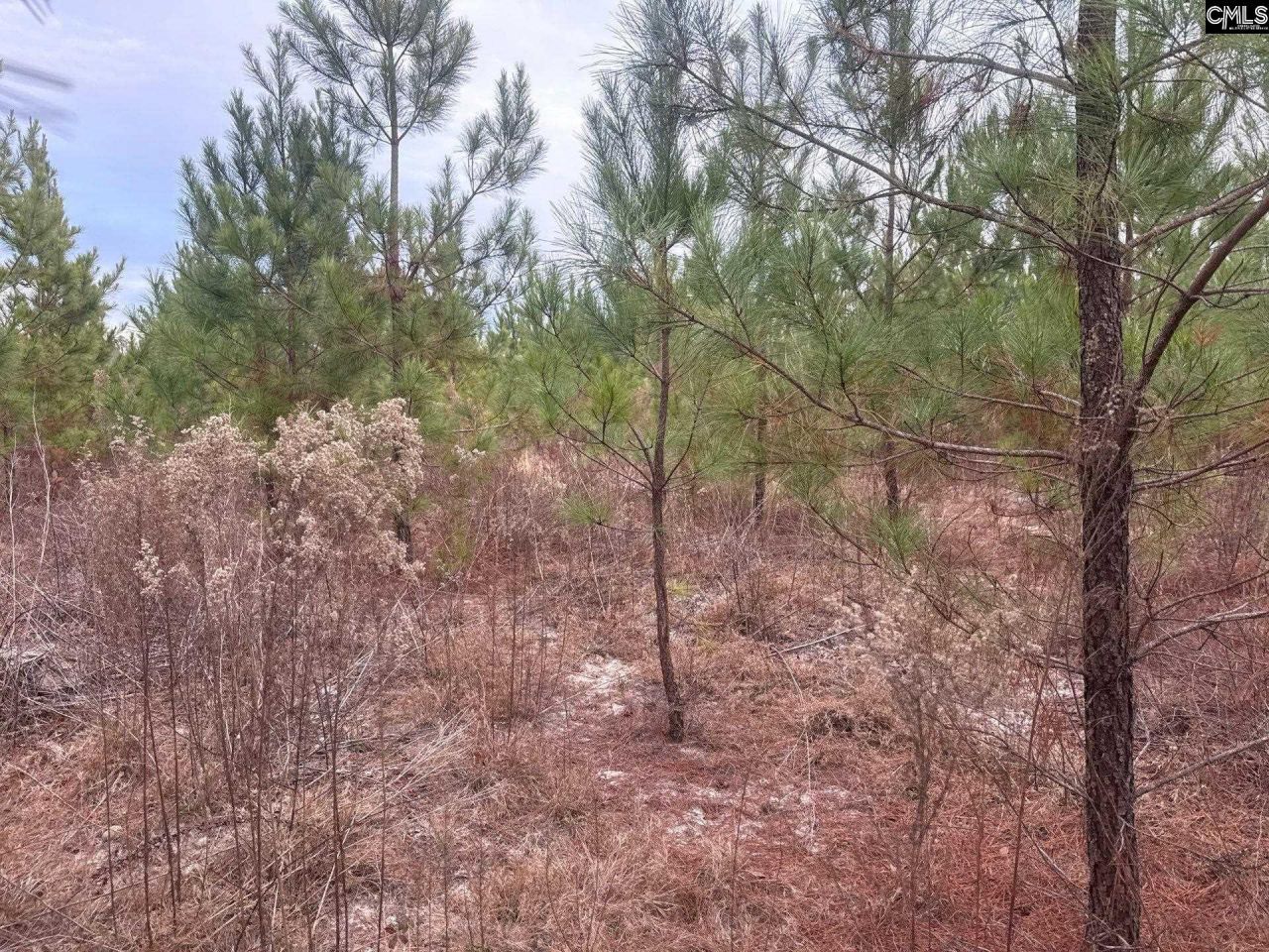 Qbf 9 Quattlebaum Road Photo 7