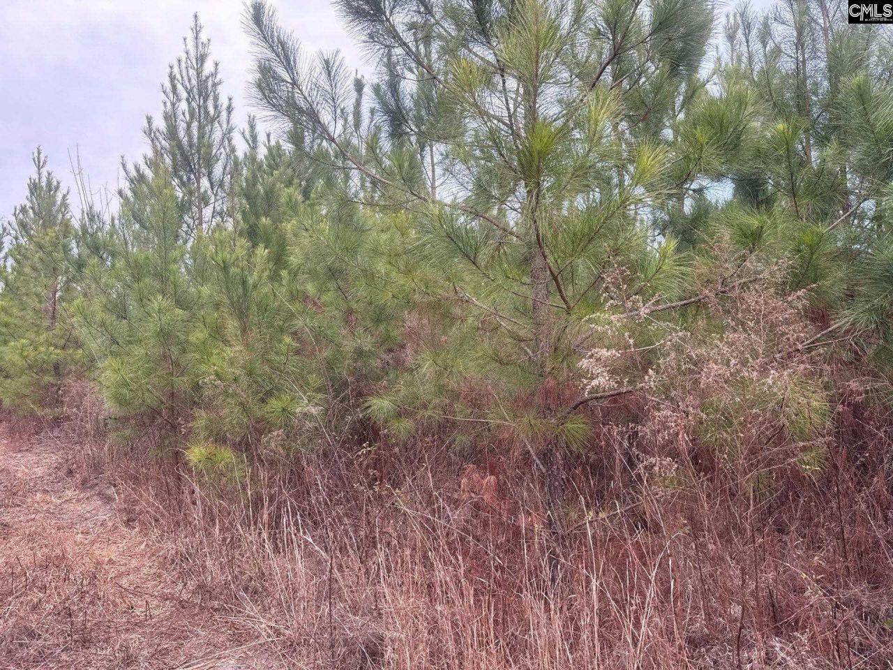 Qbf 9 Quattlebaum Road Photo 8