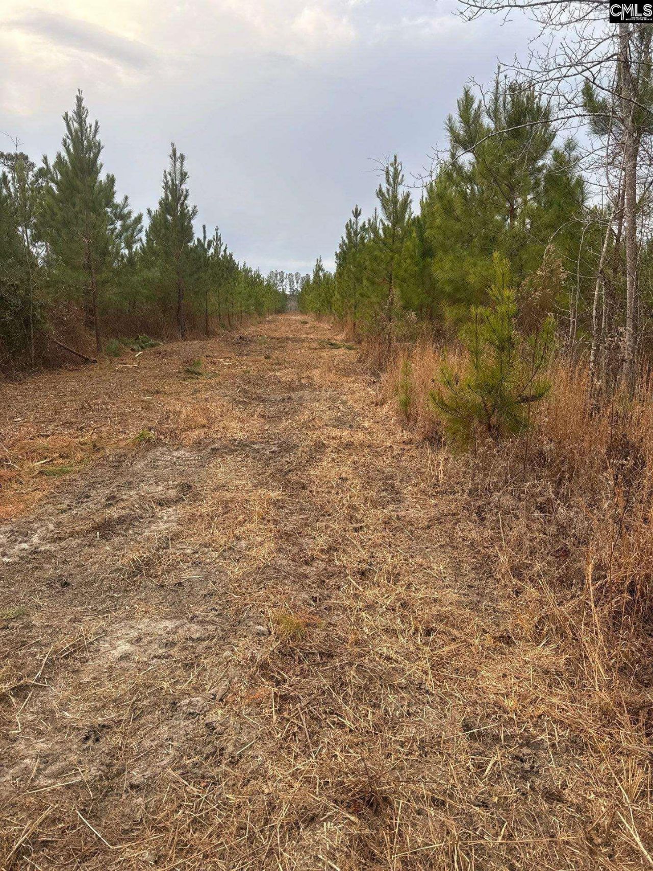 Qbf 9 Quattlebaum Road Photo 9