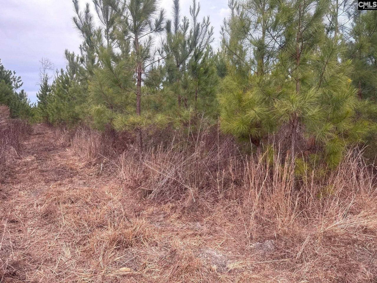 Qbf 9 Quattlebaum Road Photo 10