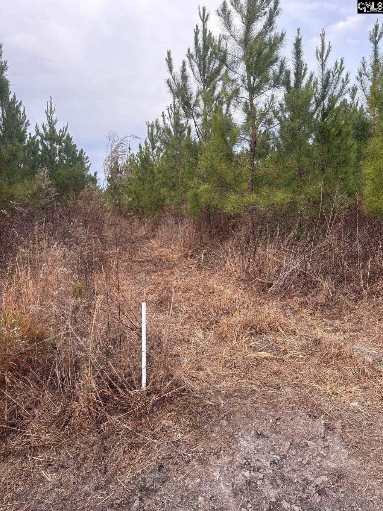 Qbf 9 Quattlebaum Road Photo 11