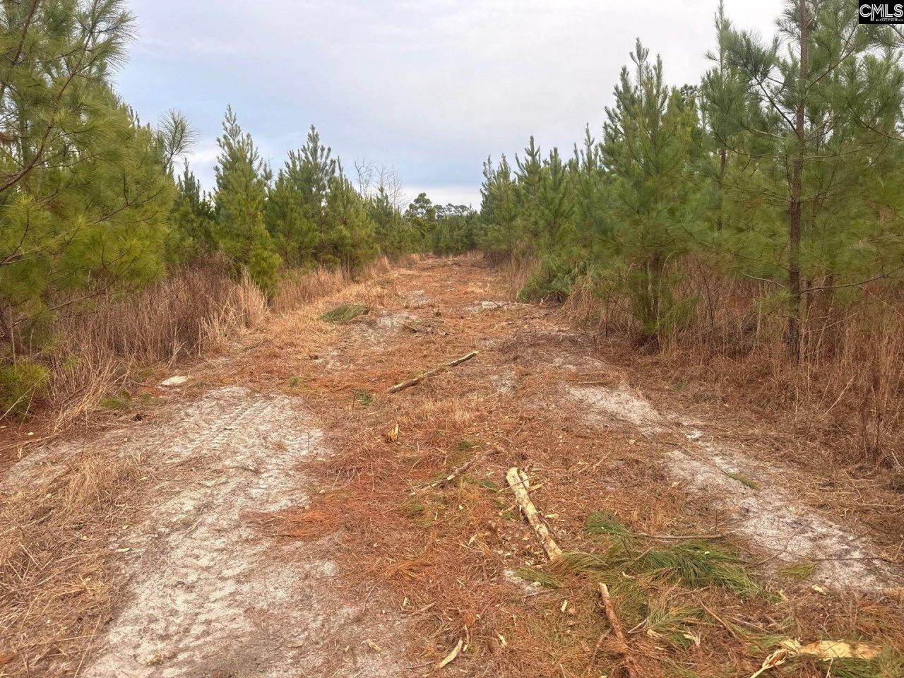 Qbf 9 Quattlebaum Road Photo 12