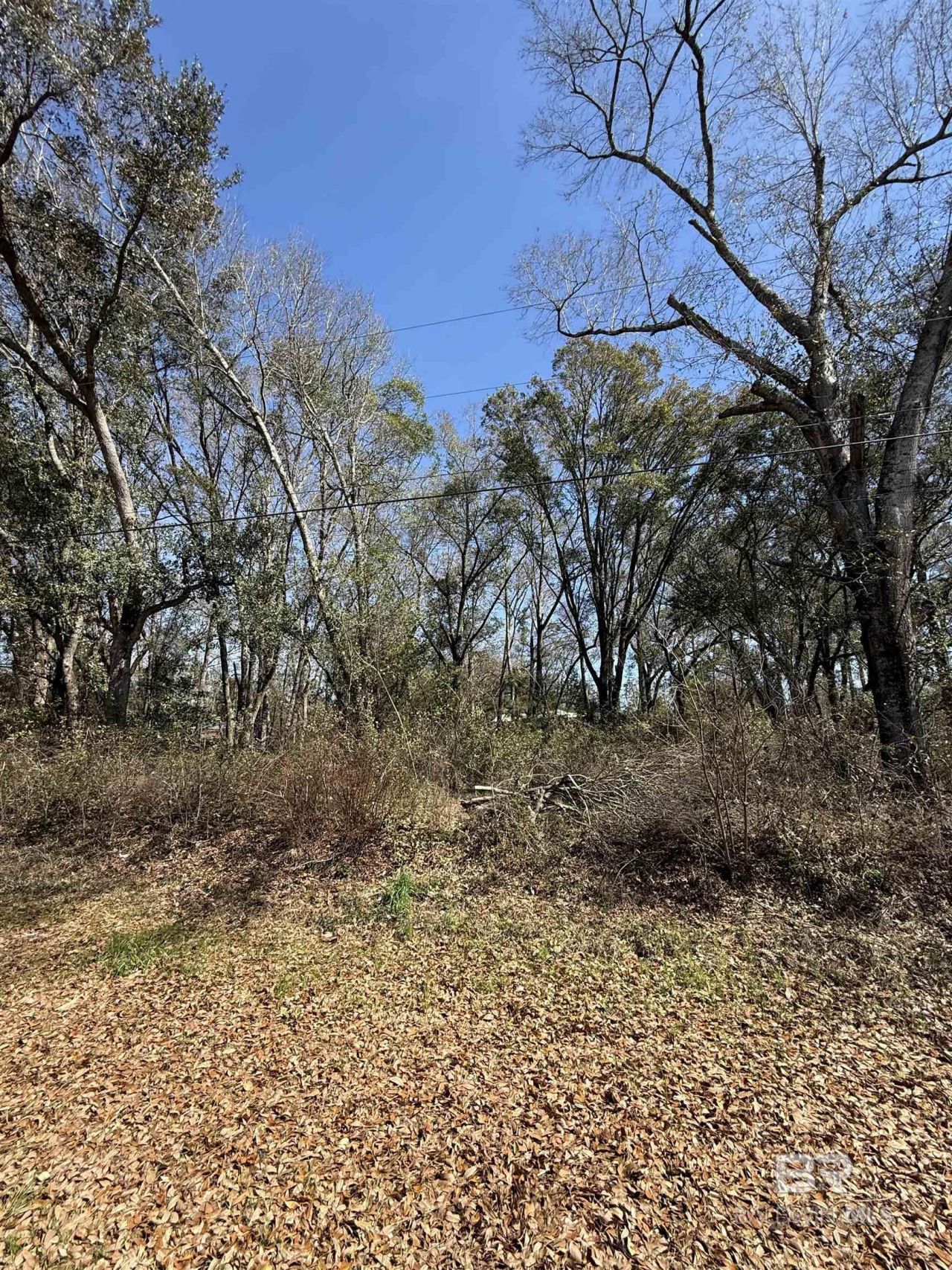 0 Hill-n-dale Drive, Silverhill, AL 36576 Main Photo