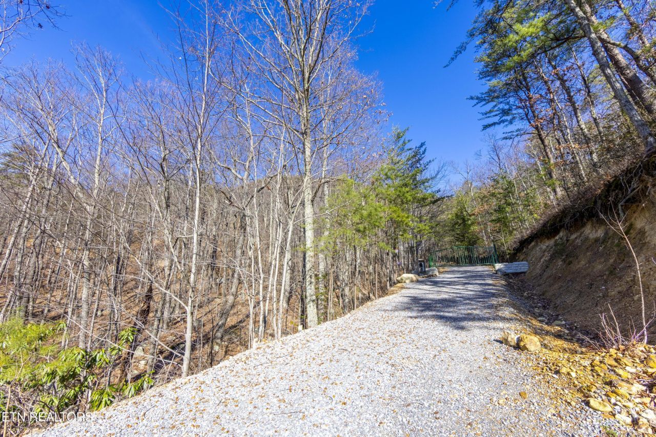 Scout Way, Cosby, TN 37722 Main Photo