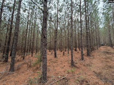 BFF II 2 JC Barefoot Road, Patrick, SC 29854