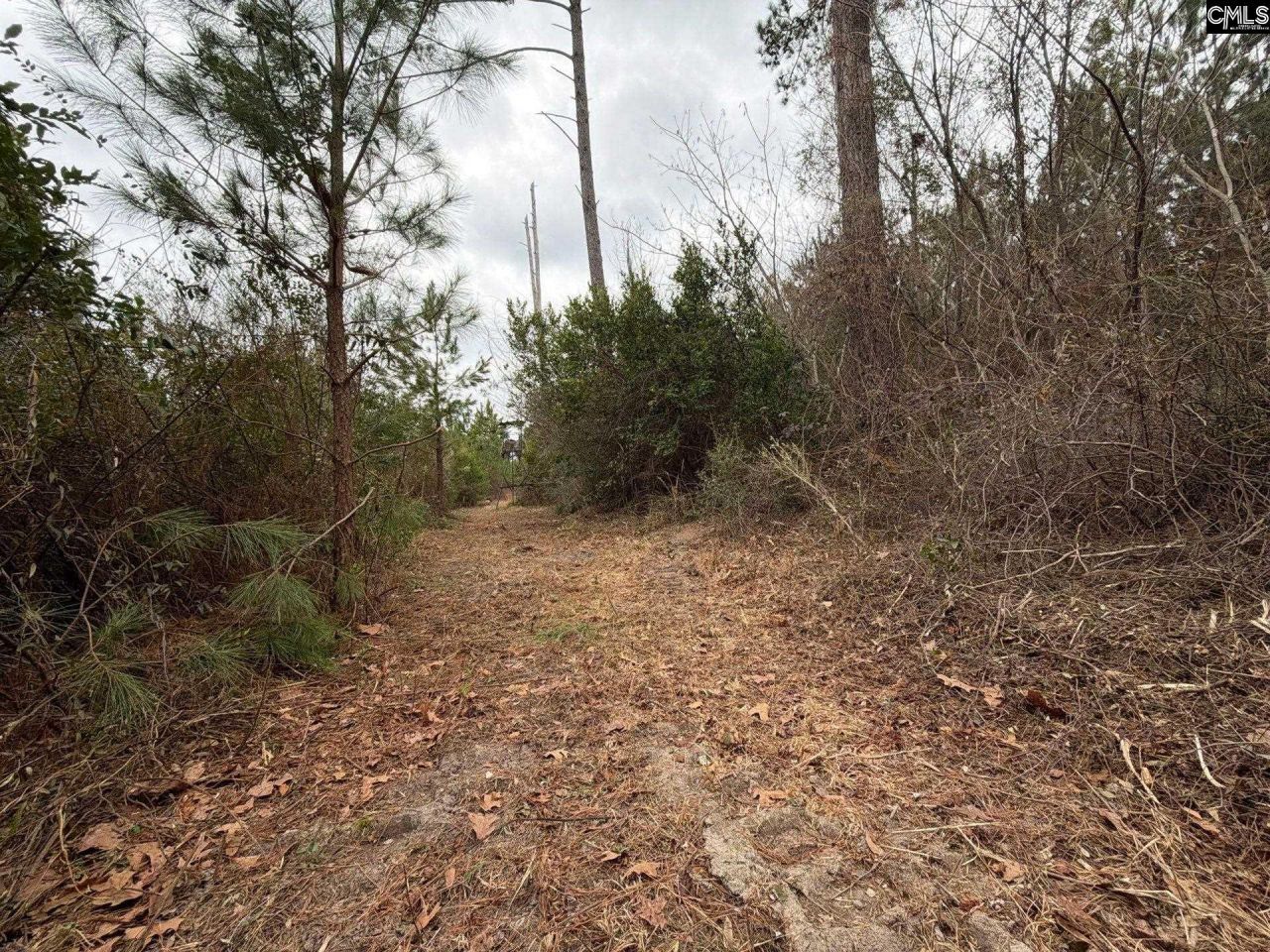 Bff II 2 Jc Barefoot Road Photo 9