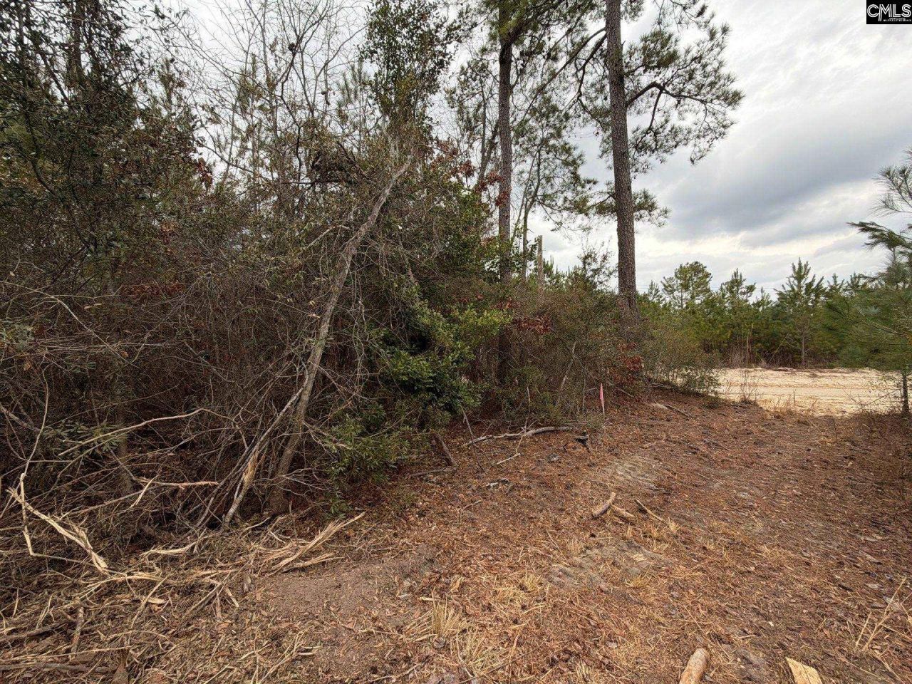 Bff II 2 Jc Barefoot Road Photo 10