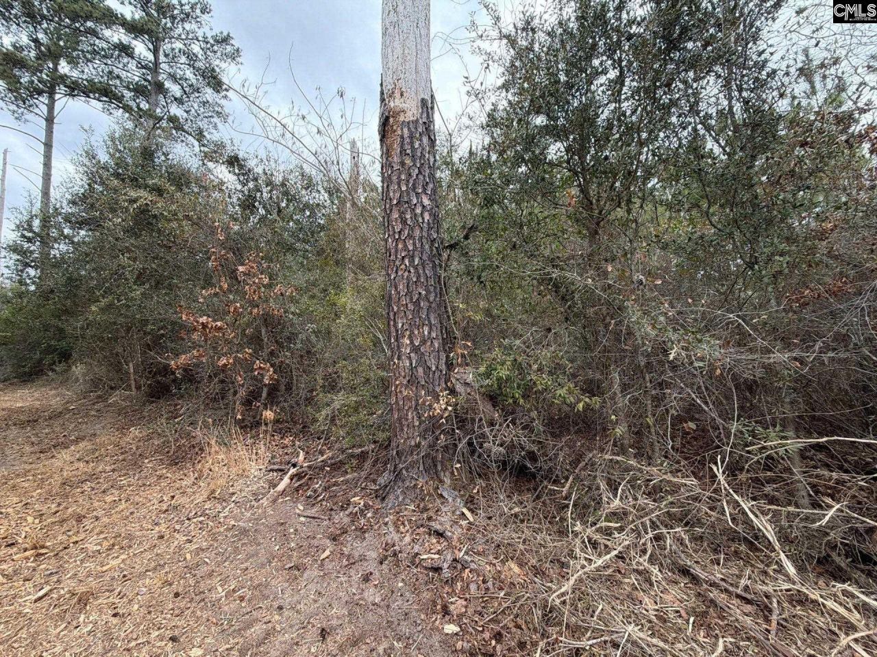 Bff II 2 Jc Barefoot Road Photo 11