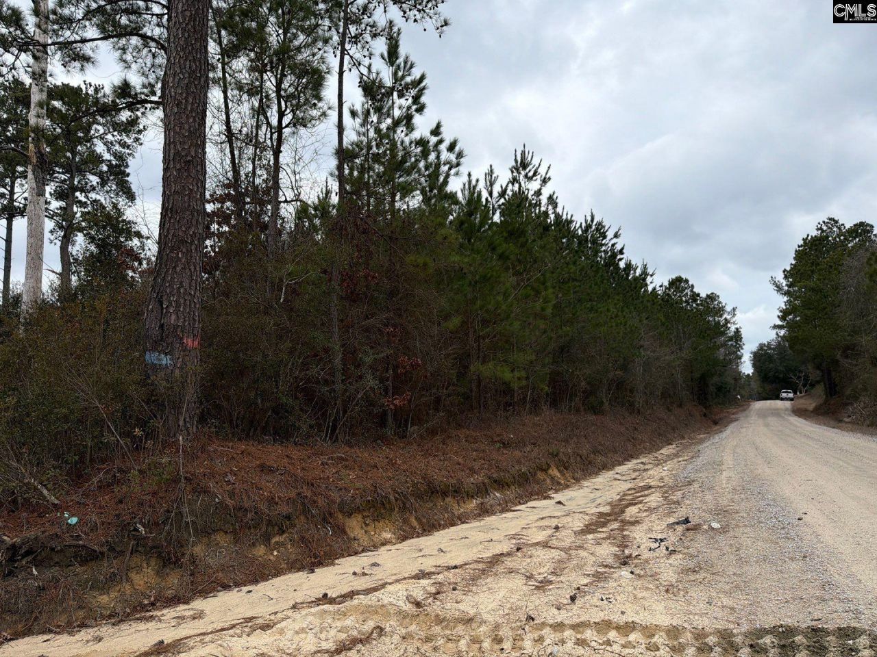 Bff II 2 Jc Barefoot Road Photo 13