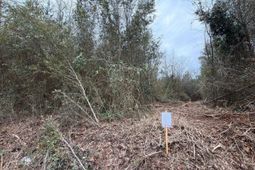 Bff II 2 Jc Barefoot Road photo 4