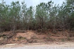 Bff II 2 Jc Barefoot Road photo 4