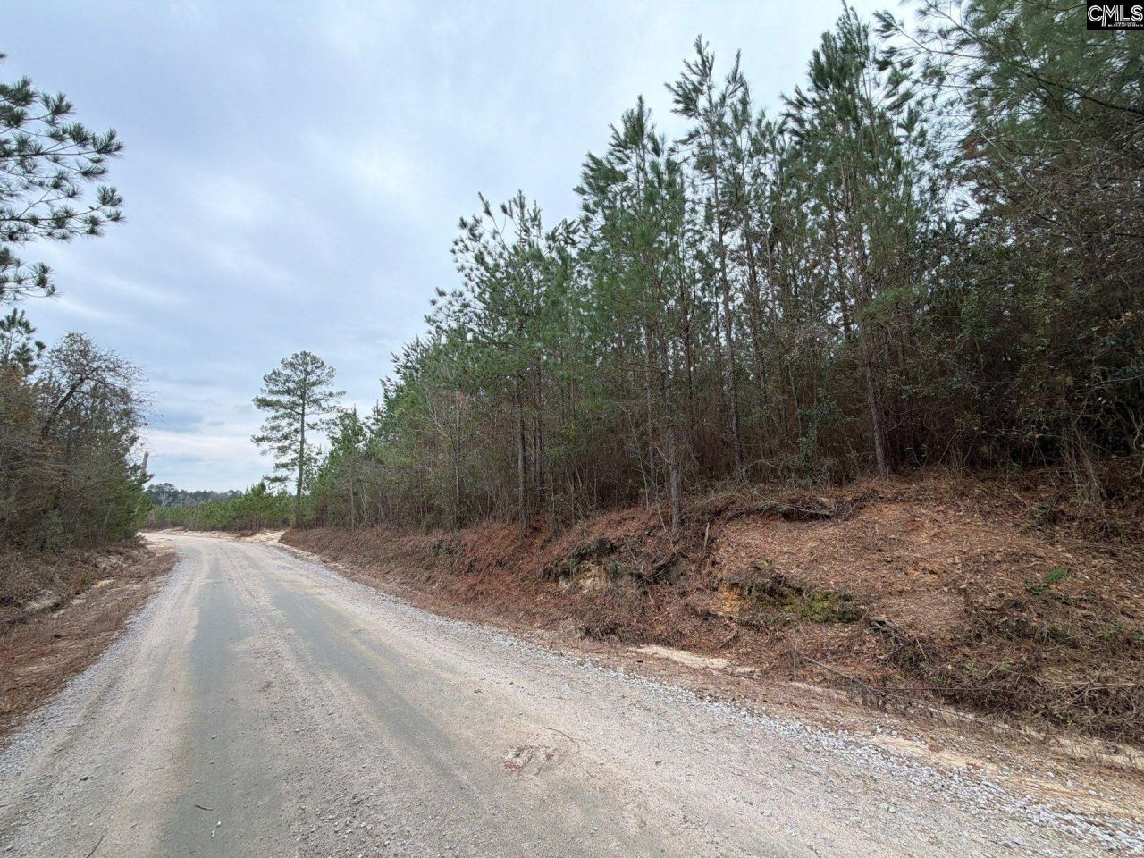 Bff II 2 Jc Barefoot Road Photo 6