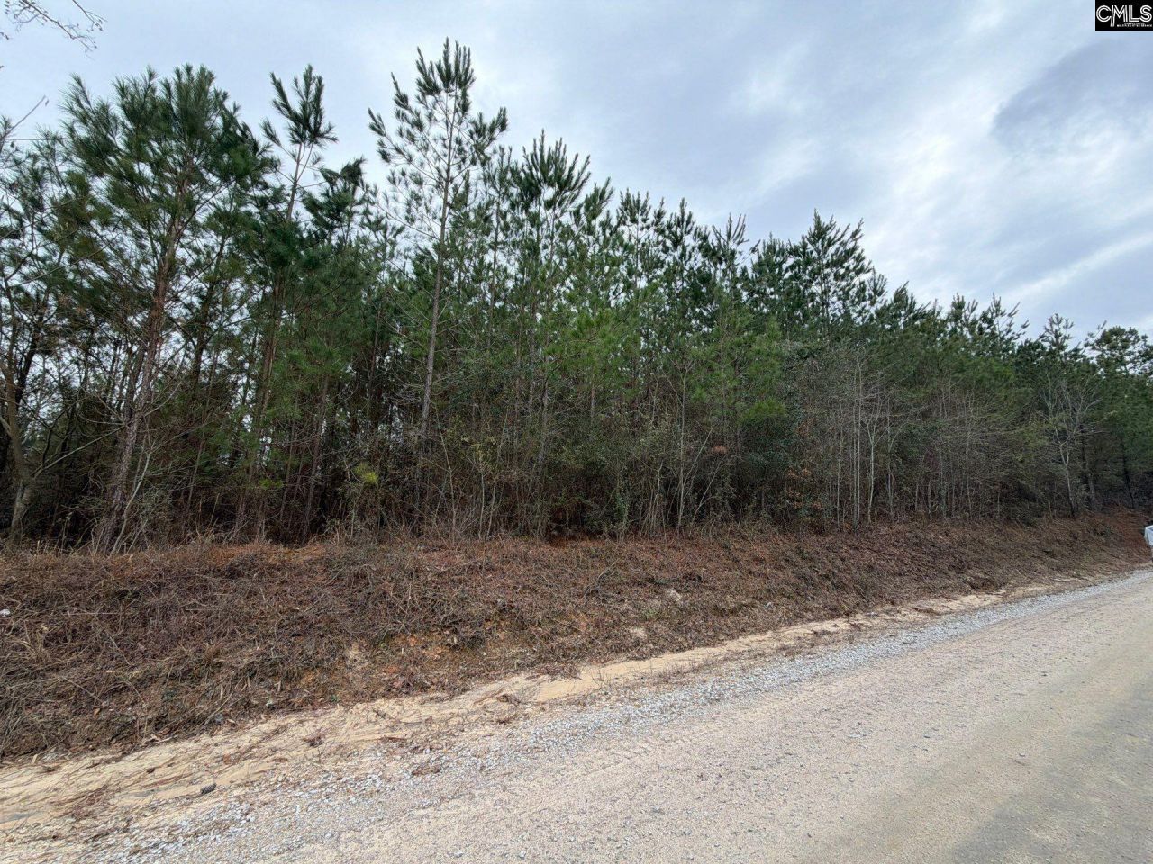 Bff II 2 Jc Barefoot Road Photo 7