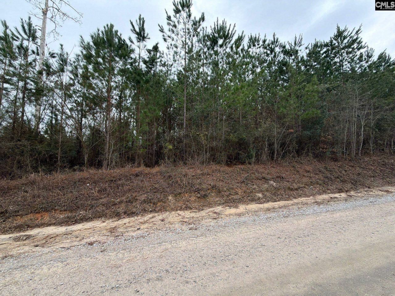 Bff II 2 Jc Barefoot Road Photo 8